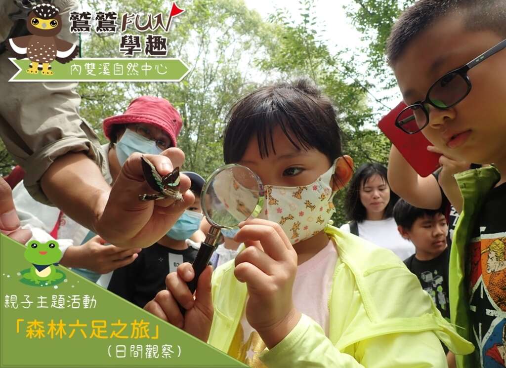 內雙溪_親子主題活動【森林六足之旅(日觀)】