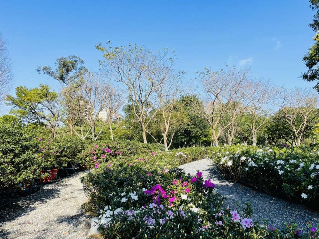 大安森林公園の新スポット　「杜鵑冶園」が2月末オープン
