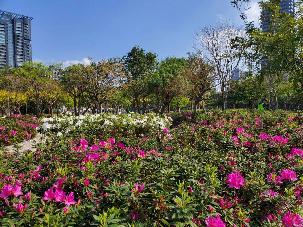 大安森林公園の新スポット　「杜鵑冶園」が2月末オープン