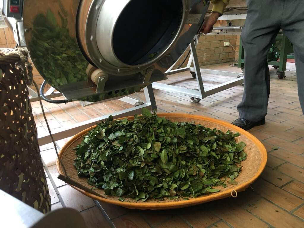 休みはどこへ？台北南港で茶山を訪ねよう！