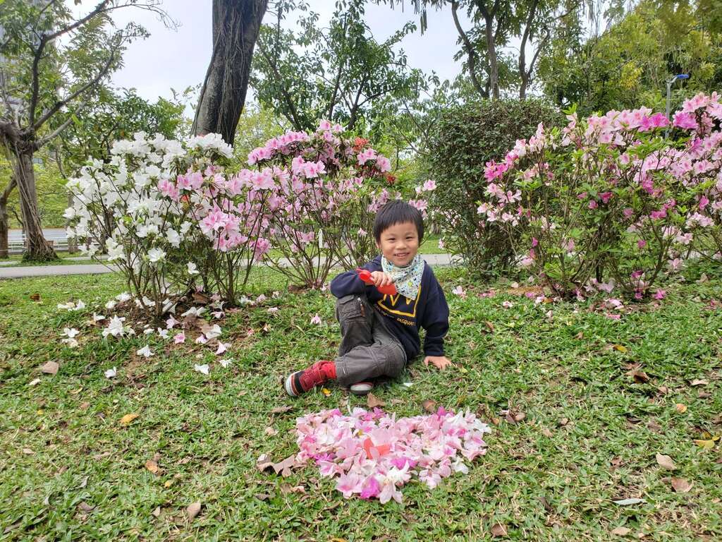 大人小孩皆可於杜鵑花叢間捕捉美景