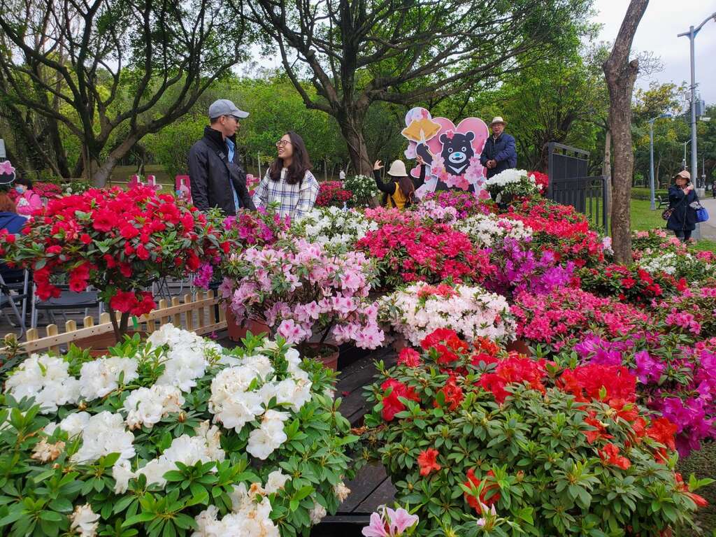 杜鵑花季期間公園內有多處熊讚打卡牌 等著大家一同合影