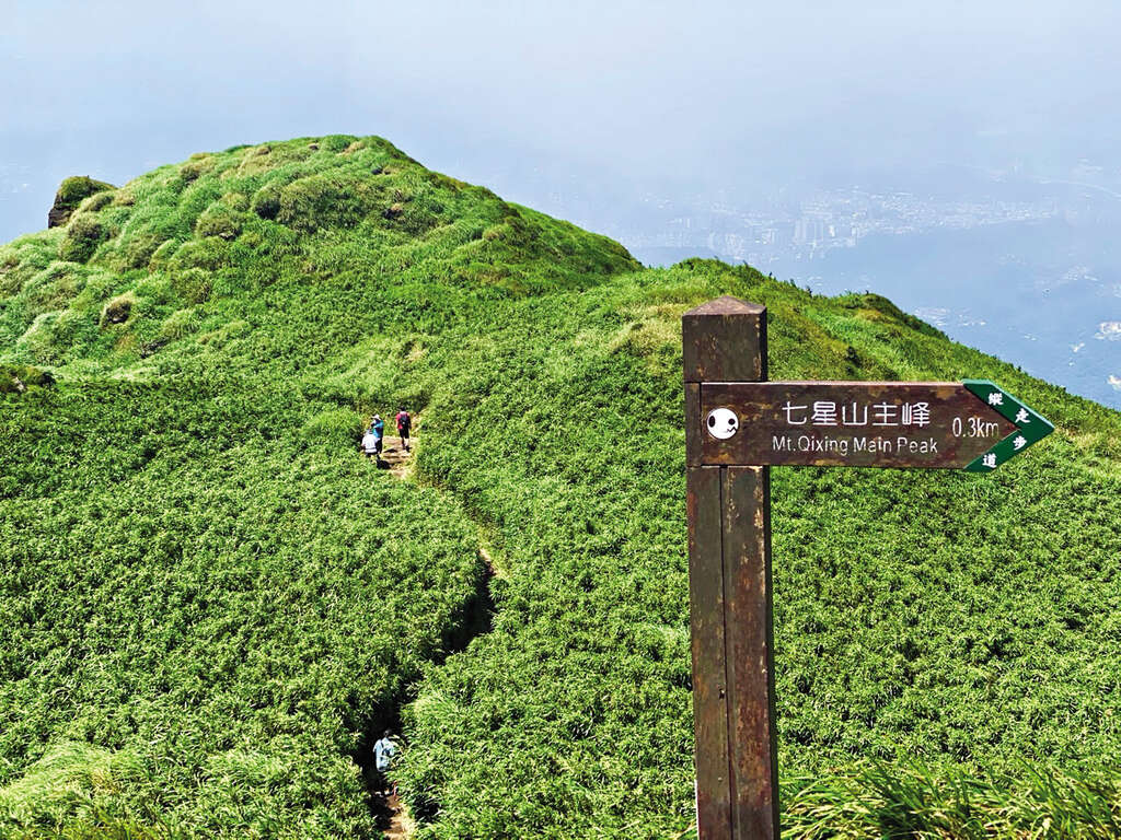 S__5226527-1 by 七星山