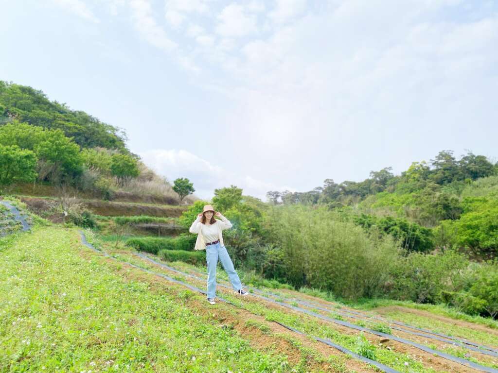 走跳鹅尾山梯田田园环境