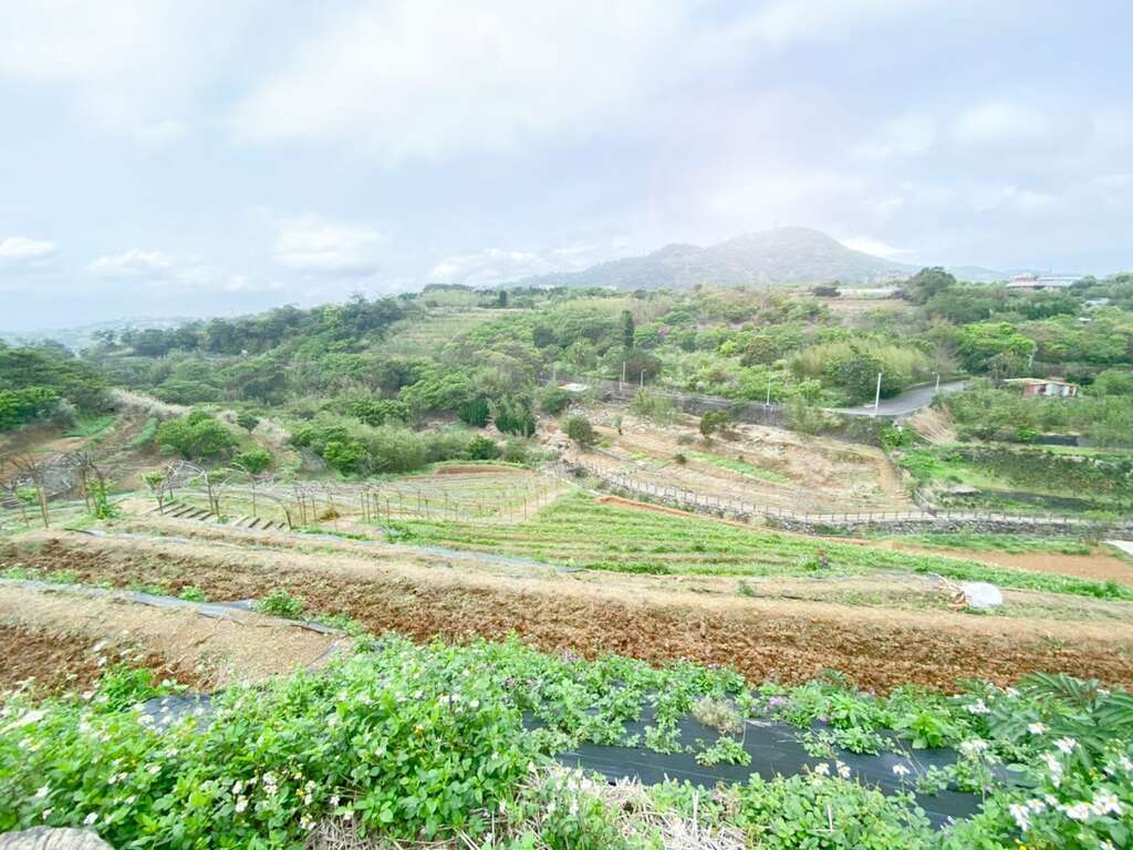 远眺梯田景致