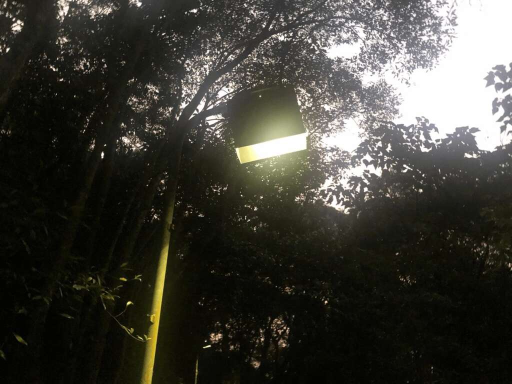 生态区内路灯增设灯罩