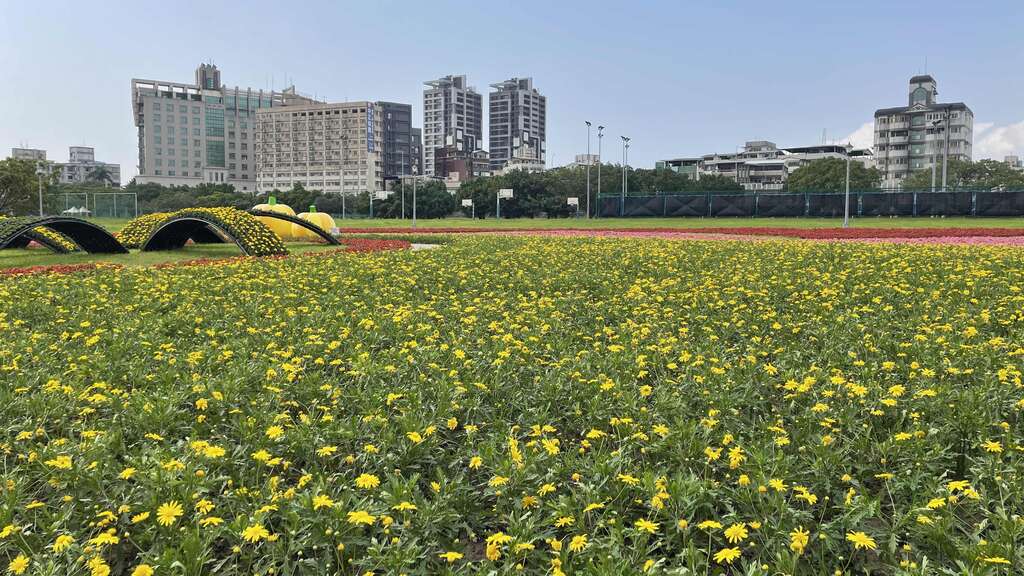 北市中正河濱8萬株童趣花海盛放
