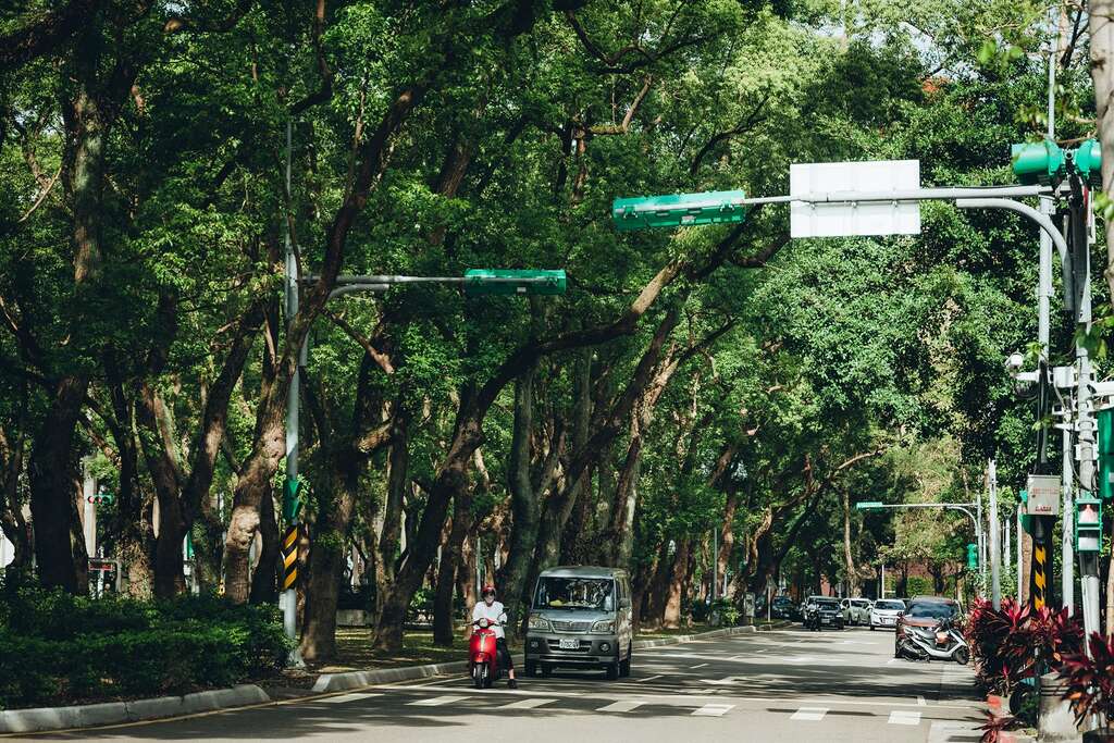 吳書原期望能擴張仁愛路的林蔭大道，將台北打造成世界級的綠意城市。（攝影／張晉瑞）