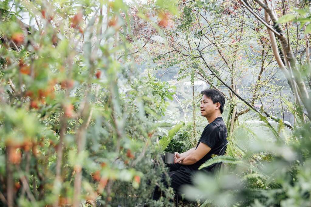 吴书原自家阳台有多达150种植物，他认为人处在山林的自然状态里才能得到最好的休憩效果。（摄影／林冠良）