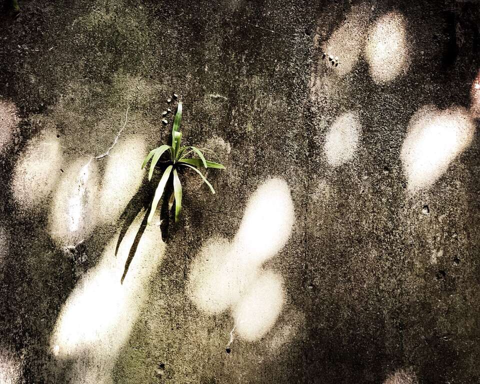 温州街