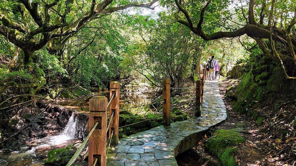 Registration Begins for Zhuzihu Hydrangea Tours