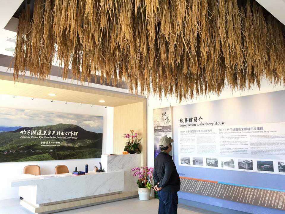 Registration Begins for Zhuzihu Hydrangea Tours