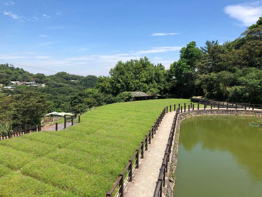 樟樹步道-遠景