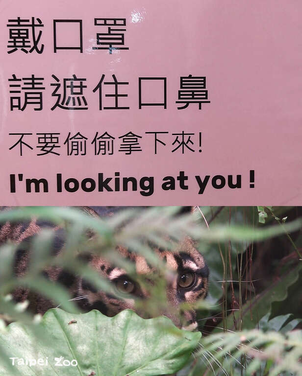戴口罩請遮住口鼻，不要偷偷拿下來！I am looking at you !