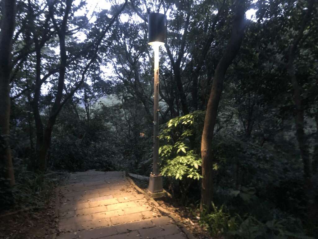 生態區內路燈增設燈罩