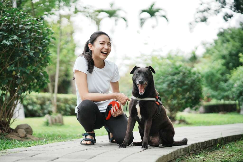 在都市生活的饲主普遍繁忙，宠物照顾服务协助分担定时遛狗、喂食的照护需求。（图／毛小爱）