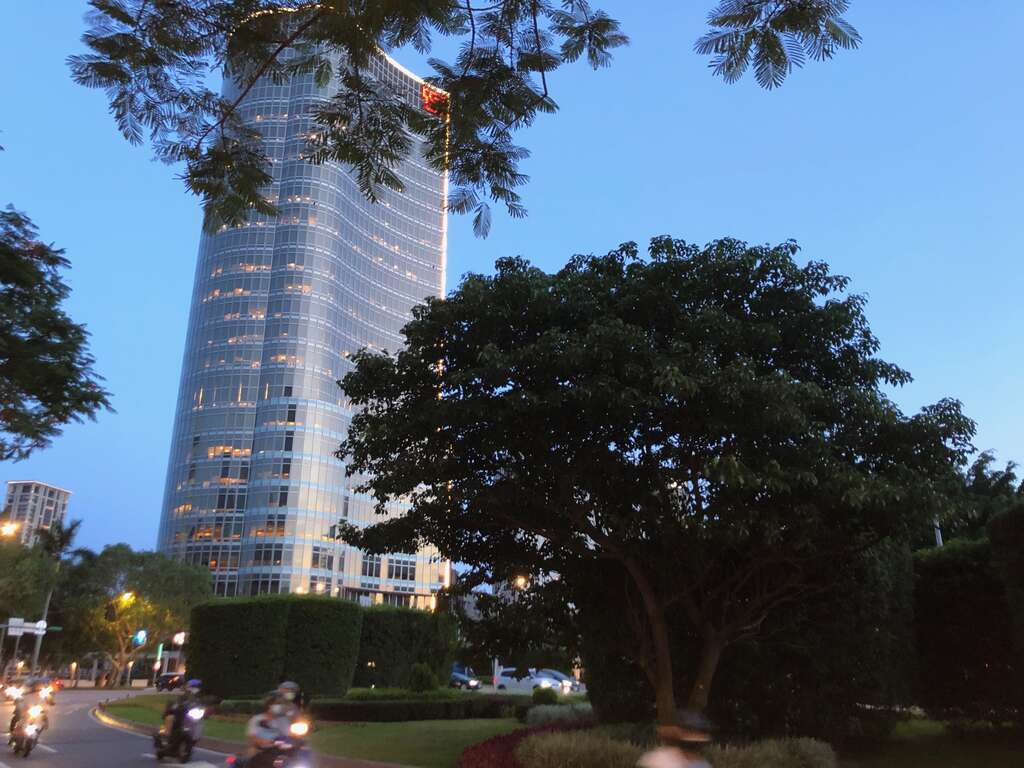 仁爱圆环中，有4棵珍贵的树木-加罗林鱼木，它们正是大有名气的台电鱼木的後代唷！
