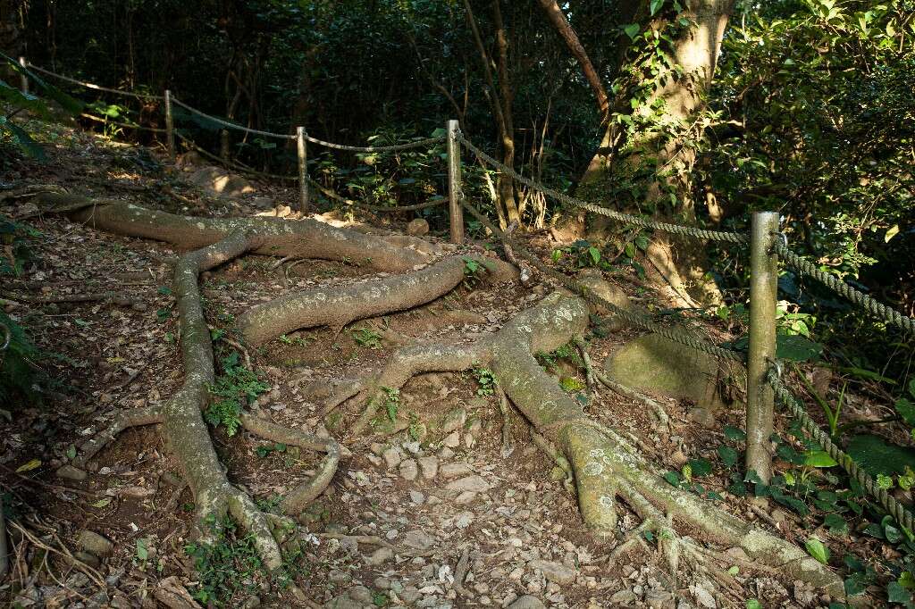 忠義山2~1