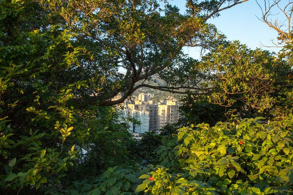 芝山岩~1