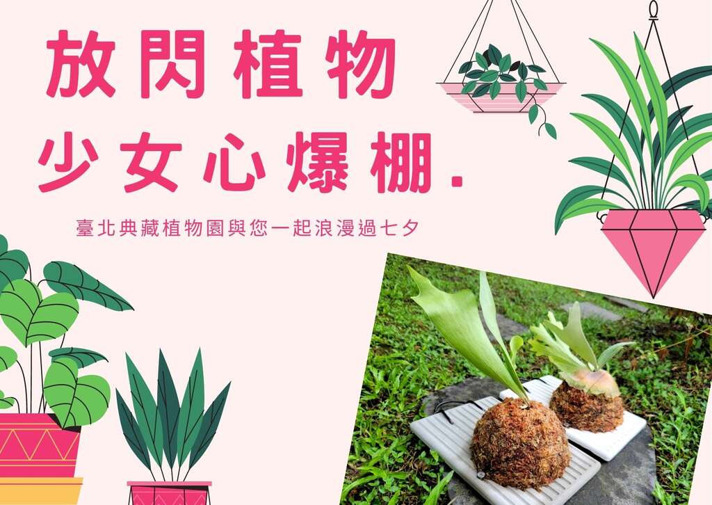 活動小海報