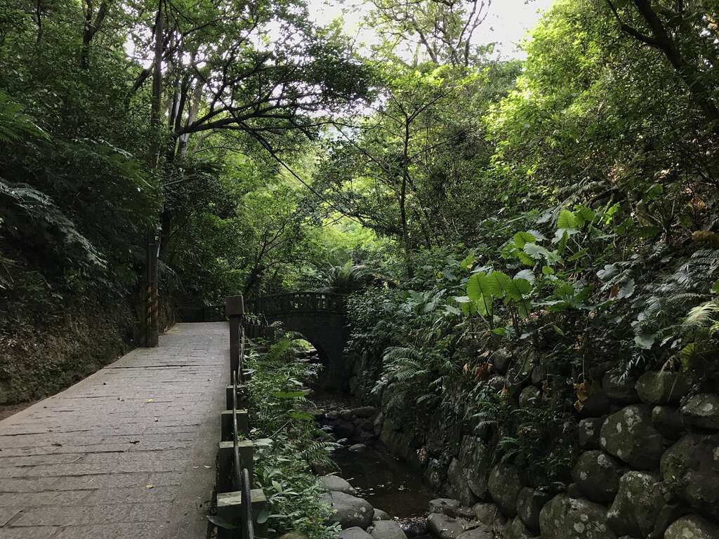 生態工法整治的虎山溪，砌石河床提供魚蝦自然的生存繁衍空間