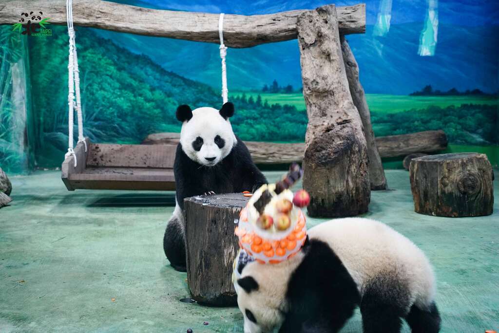 圆宝：妈呀！你切蛋糕的方式太豪迈了吧！？