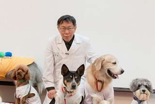 City Embarks on ‘Dog Doctors’ Training Program
