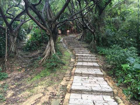 Con đường bậc thang trong rừng của dãy Núi Tứ Thú- nơi thu hút khách du lịch tham quan nhiều nhất.