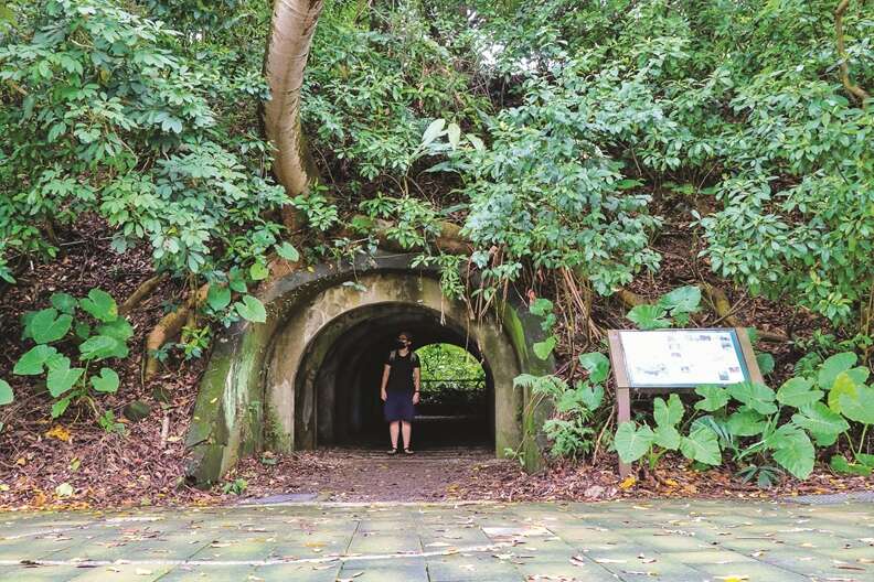 IMG_7176-1富陽-edited