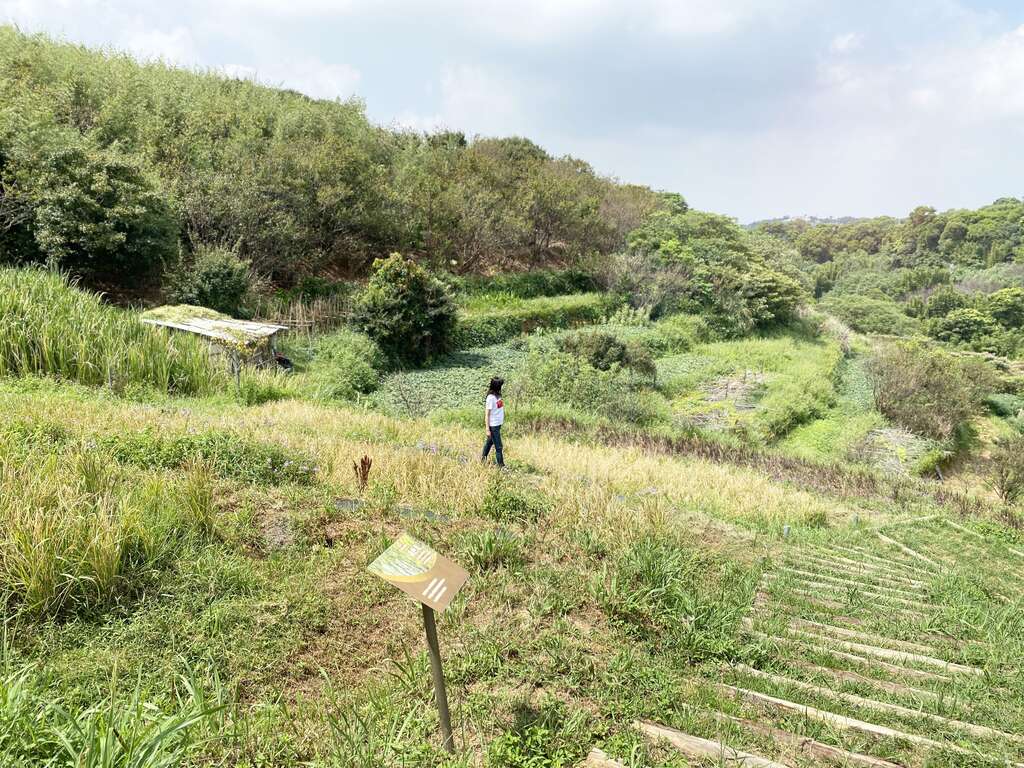 漫步於梯田间，感受最原始的自然风光