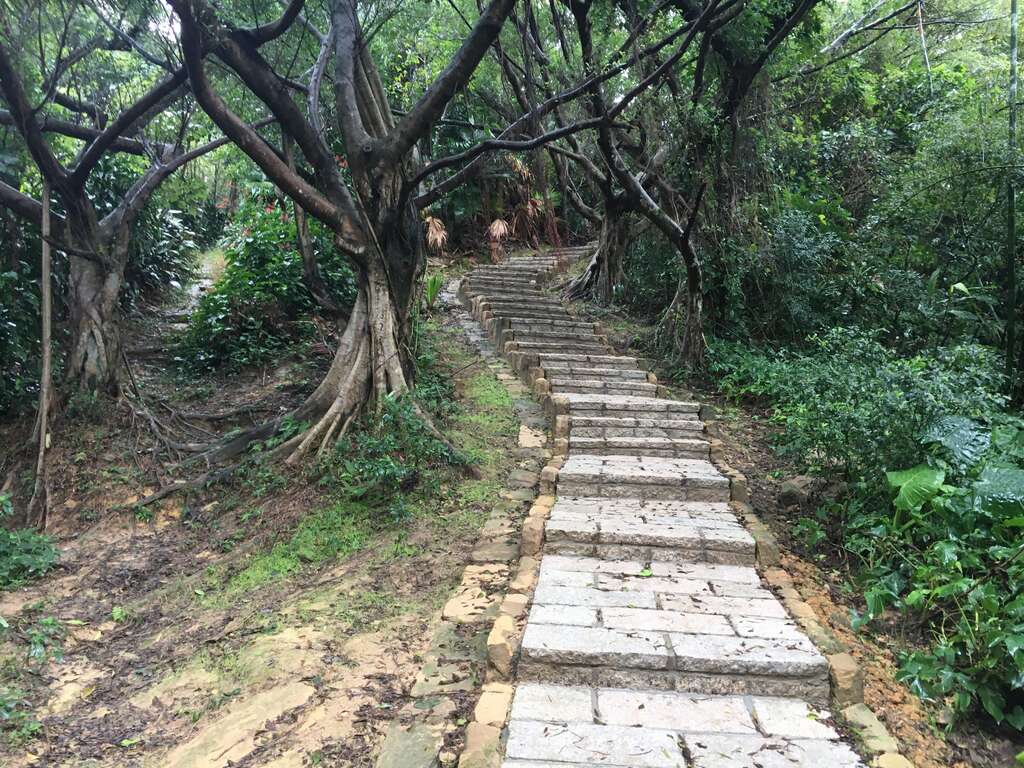 行楽客に大人気「四獣山森林遊歩道」群