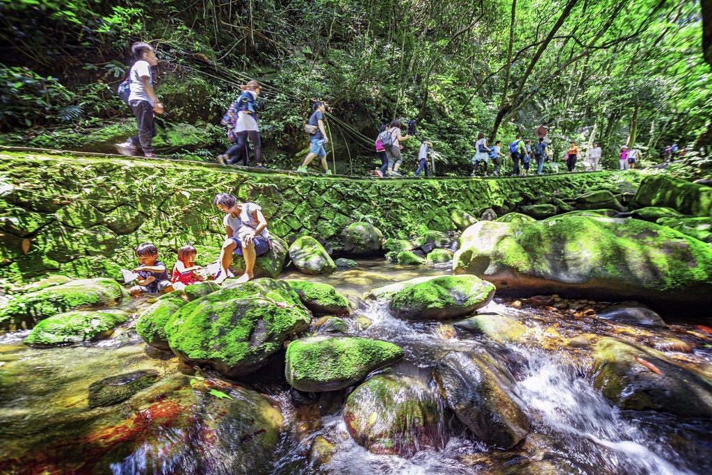 走在台北大纵走第四段「圆觉寺步道」，与沁凉溪流伴行，不论是登高或溪旁休憩都可体验山林各式风貌美景。