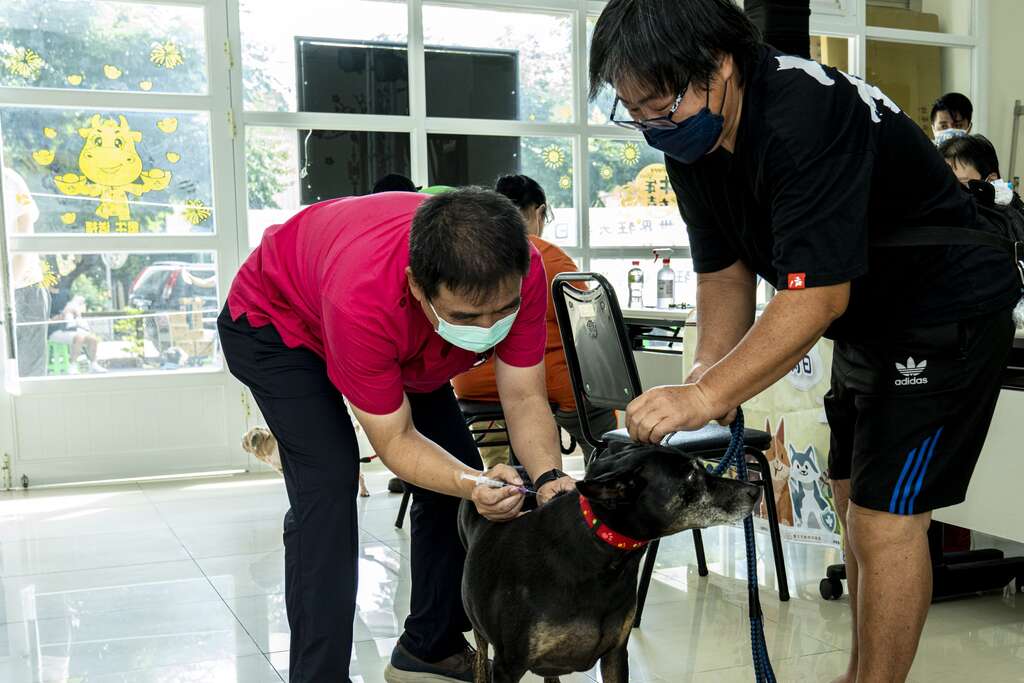 市民帶狗狗參與「萬箭齊發」狂犬病疫苗注射活動