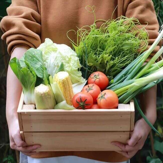 社区好菜