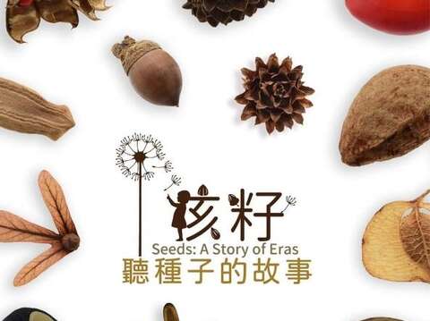 Seeds: A Story of Eras