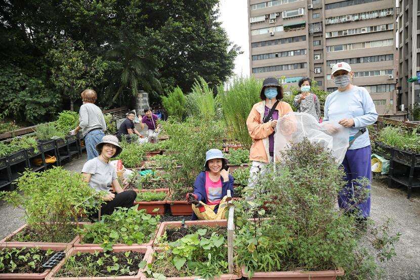 臺北客家農場-斜綠屋頂