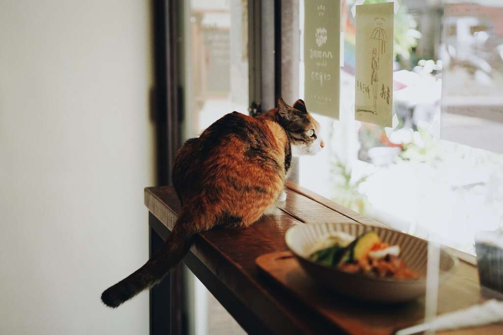 4-ハハ珈琲店