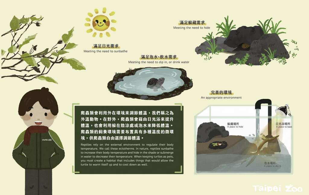 爬蟲類為外溫動物，牠們沒有體內調溫機制，而是利用外在環境來調節體溫
