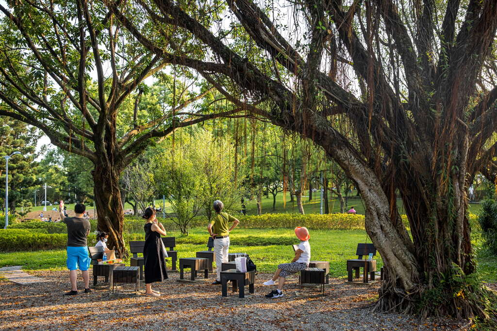 大樹下放置木椅供遊客享受悠閒時光