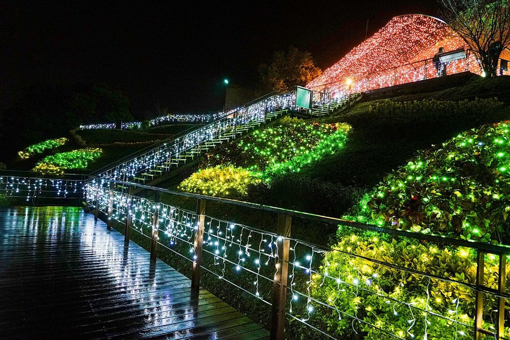 在猫缆猫空站外景观台上，草坡上的萤光，如同这座山城的夜景