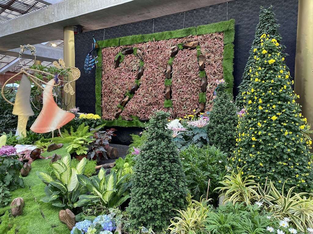 邀您携手迈入菊展20周年