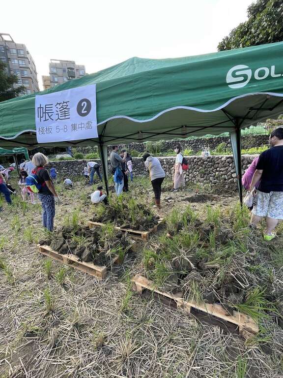 不同家庭一起體驗炕窯樂趣
