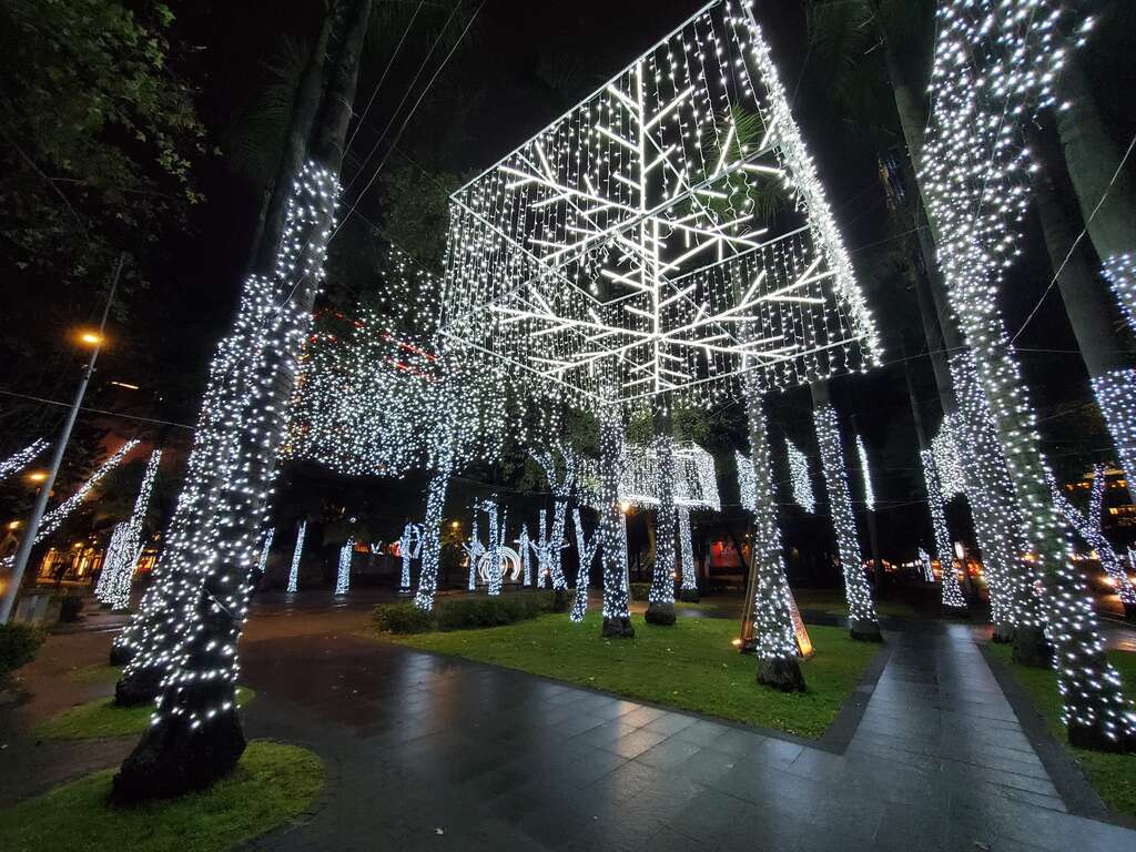 台北市政府-银白圣诞森林