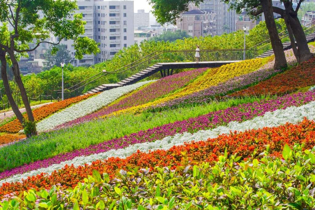 三层崎花海