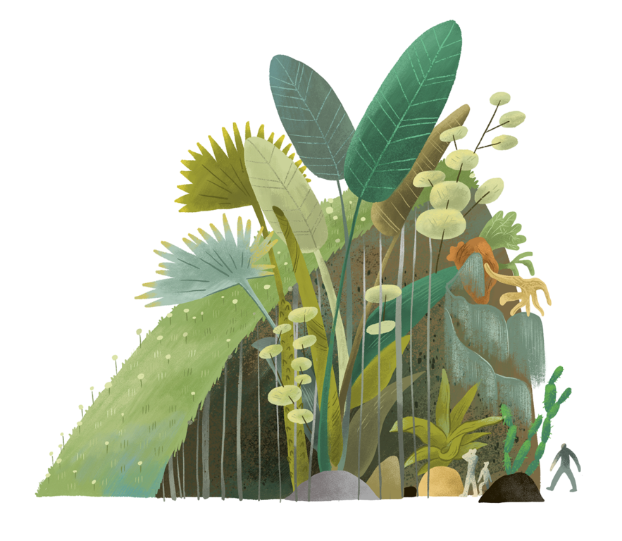 台北典藏植物園