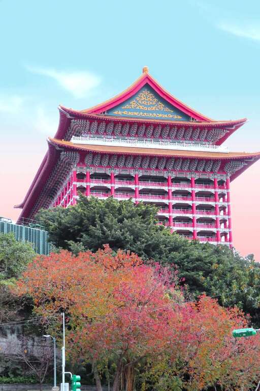 中山北路四段圆山大饭店前的红叶植物是乌桕
