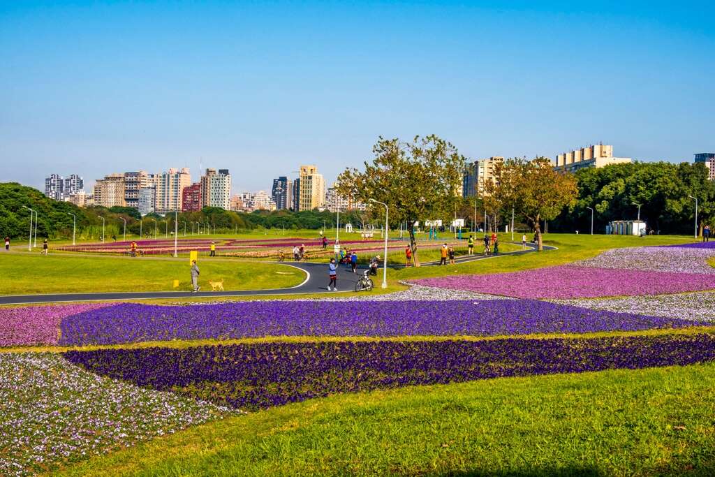 宛如来到国外的梦幻花海