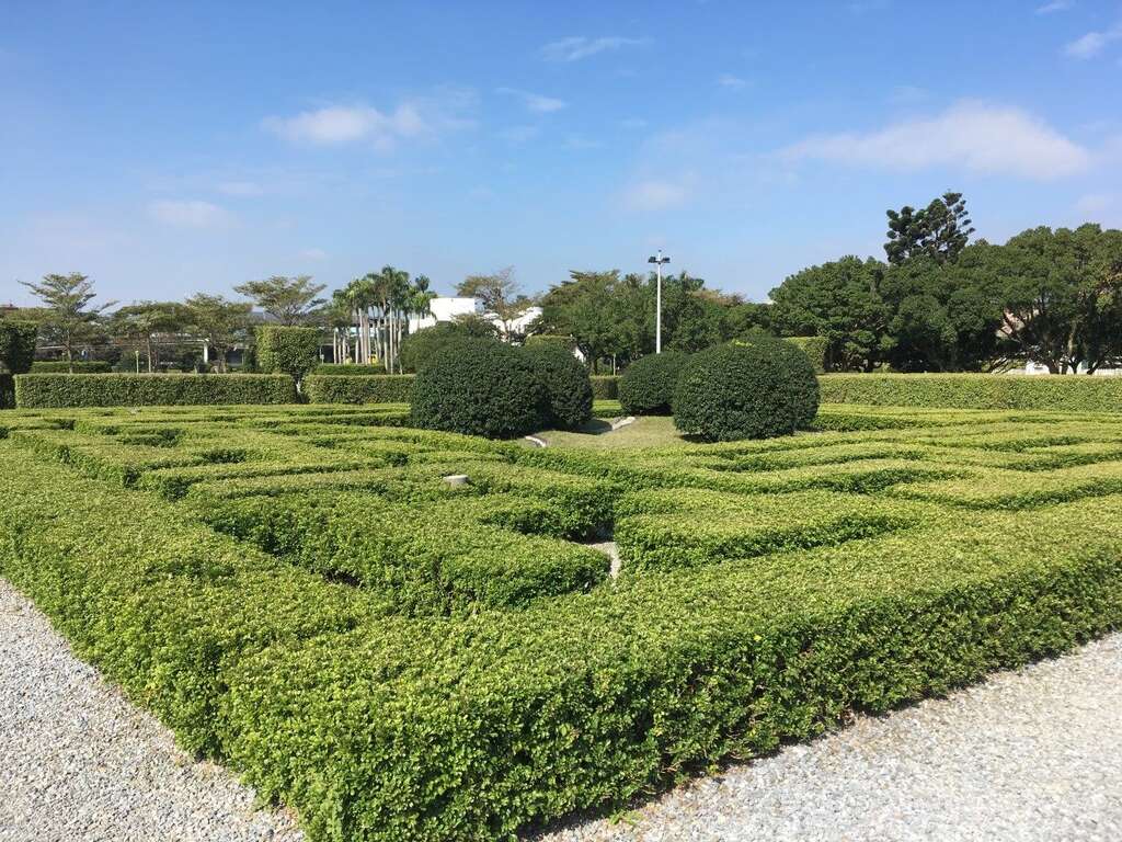 新生園區充滿樹蘭清香的迷宮花園