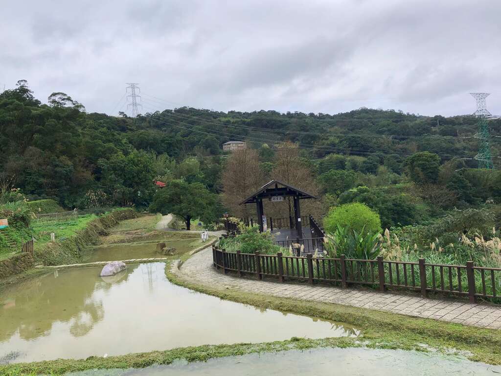 樟樹步道水梯田