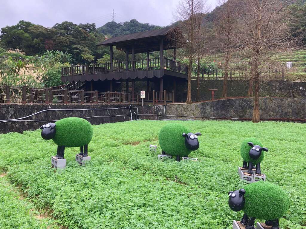 今年有羊陪伴